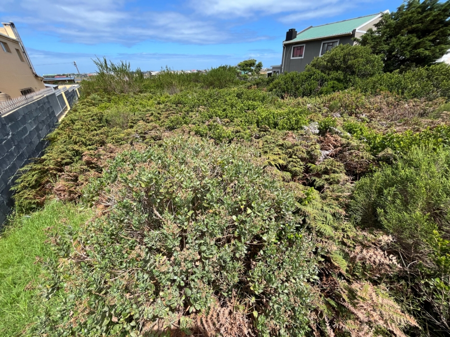 0 Bedroom Property for Sale in Bettys Bay Western Cape